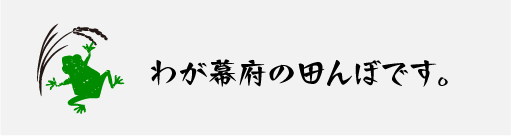 我が幕府の田んぼを見てください。